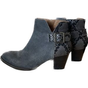 Gray Suede Zip up bootie and buckle .Naomi Snake